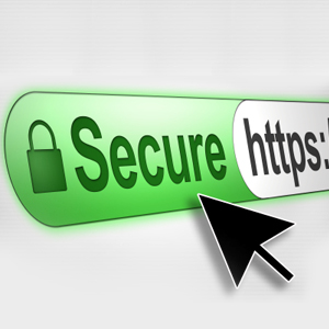 SSL Certificate Security